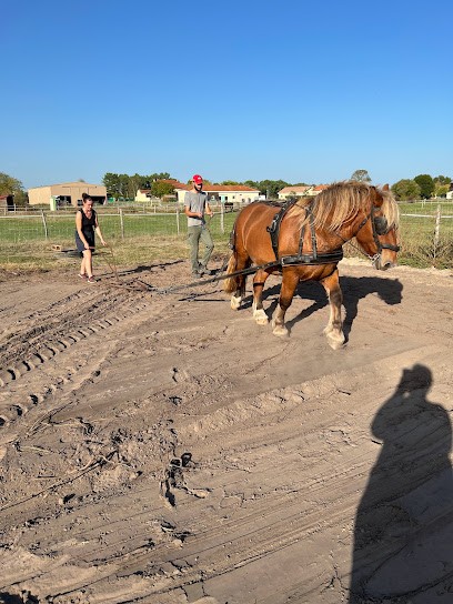Au Potager De Damien Et Eva, Primeur Fruits et Légumes à Saugon