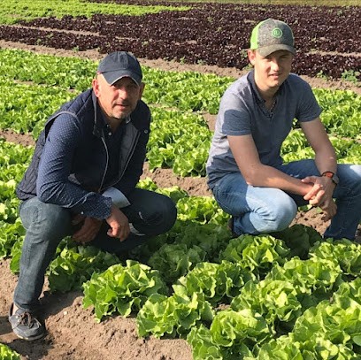 EARL LEGRAND Stéphane, Primeur Fruits et Légumes à Annoville