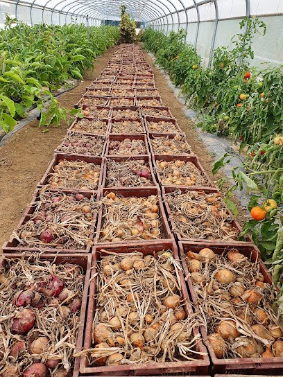 Le Jardin De Cocagne Du Raquet, Primeur Fruits et Légumes à Sin-le-Noble