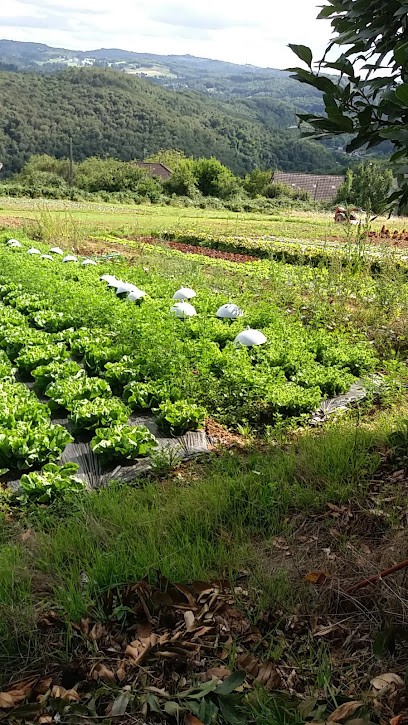 Ventejoux Jean-Emile Producteur Maraîcher, Primeur Fruits et Légumes à Tulle