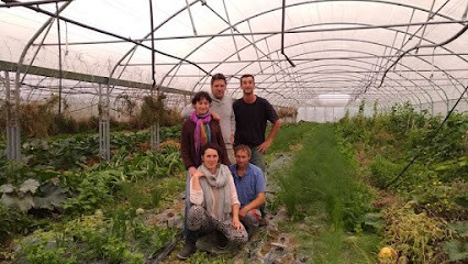 Les Jardins Vergers, Primeur Fruits et Légumes à Bossay-sur-Claise