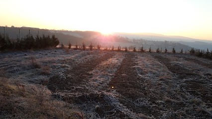 Dufour Francoise, Primeur Fruits et Légumes à Dargoire