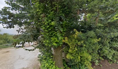 Thévenin Sarl, Primeur Fruits et Légumes à Aixe-sur-Vienne