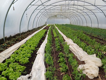 Les Jardins du Verger - Ferme bio Fouesnant, Primeur Fruits et Légumes à Fouesnant
