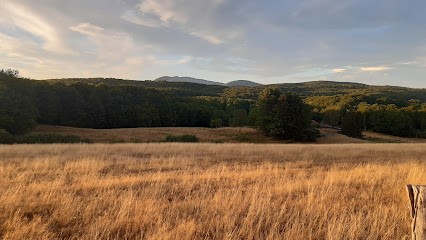Le Maraîcher RadisKale, Primeur Fruits et Légumes à Plancher-Bas