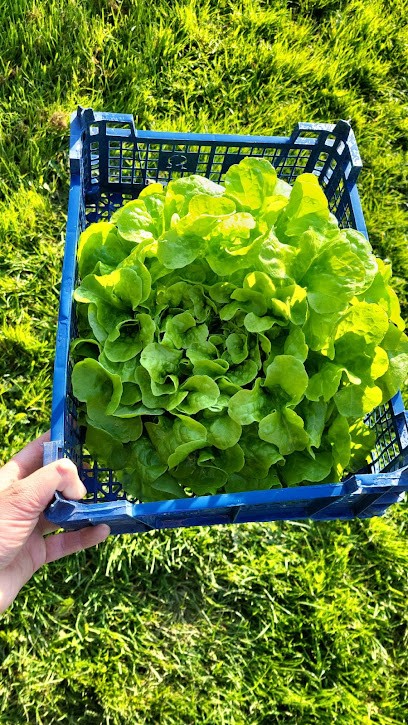 Les Légumes De La Fontaine, Primeur Fruits et Légumes à Quintenic