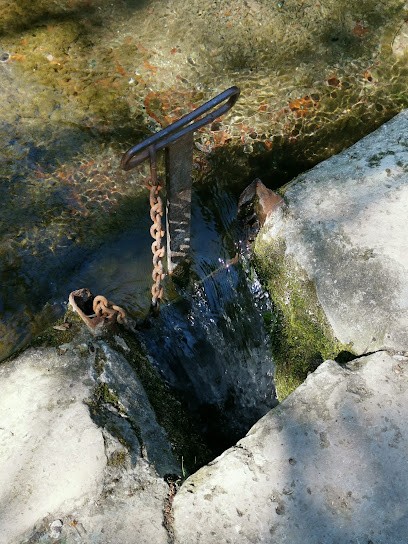 Gaec Des Jardins Enchantés, Primeur Fruits et Légumes à Neauphle-le-Vieux