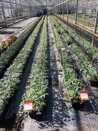 EARL Robin Productions, Primeur Fruits et Légumes à Amanlis