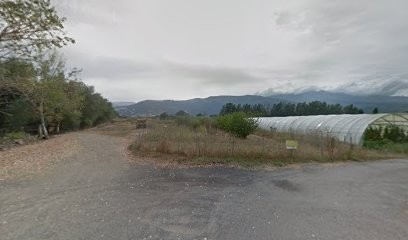 Fiorella Maraîchage, Primeur Fruits et Légumes à Lucciana