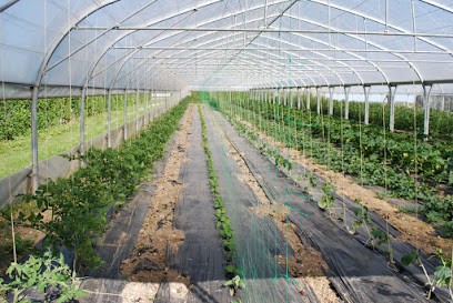 Ferme De La Vallée Des Hirondelles, Primeur Fruits et Légumes à Velennes