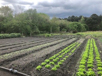 Location jardin Biozen Garden, Primeur Fruits et Légumes à Arsac