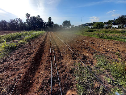 La Ferme Des Petites Mains - Producteurs Bio, Primeur - Fruits Et Légumes à Ollioules