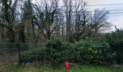 Le Jardin D'Etienne, Primeur Fruits et Légumes à Saint-Romain-de-Jalionas