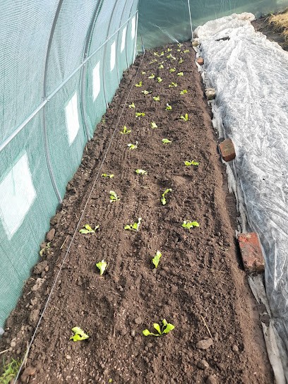 Au Potager De Flo, Primeur Fruits et Légumes à Saint-Martin-lez-Tatinghem