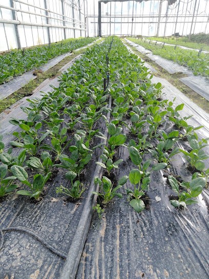 Les Jardins De Loire, Primeur Fruits et Légumes à Loire-Authion