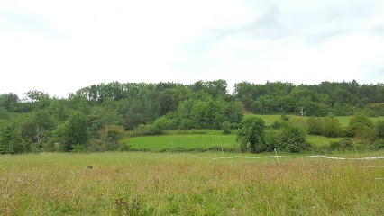 Bonicoli Veronique, Primeur Fruits et Légumes à Saint-Jean-de-Paracol