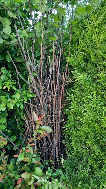 La Ferme De Soubrebost, Primeur Fruits et Légumes à Mainsat