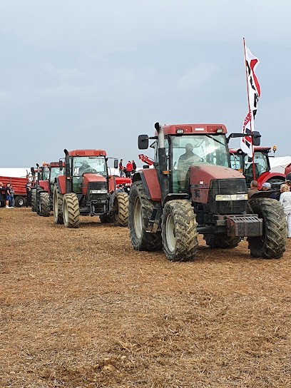 Thierry JANIN, Primeur Fruits et Légumes à Savas-Mépin