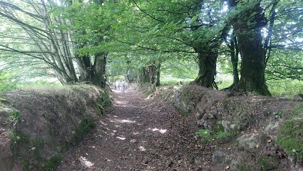 La ferme de Junglenn, Primeur Fruits et Légumes au Faouët