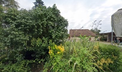 Les Légumes De Motha, Primeur Fruits et Légumes à Saint-Pandelon