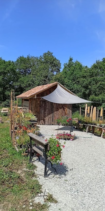 Flo Garden, Primeur Fruits et Légumes à Lessac