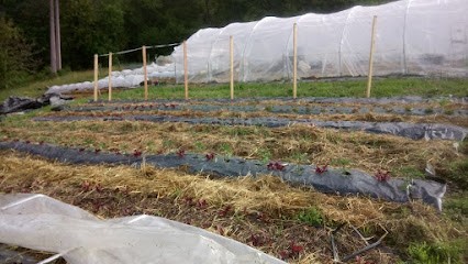 jardindestaing, Primeur Fruits et Légumes à Estaing