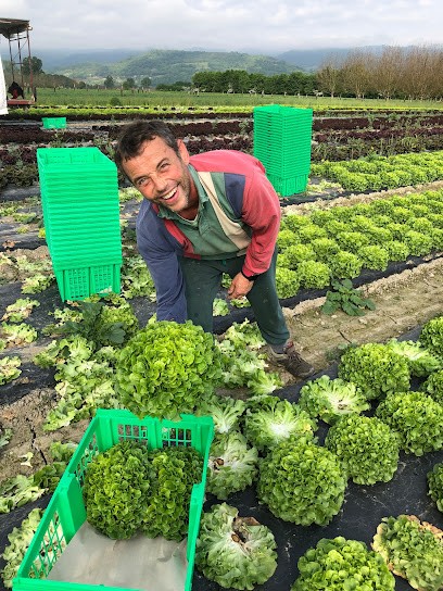 Guillerme Michel, Primeur Fruits et Légumes à Tullins