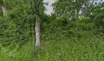 Le Jardin De Lola Et Mathis, Primeur Fruits et Légumes à Verfeil