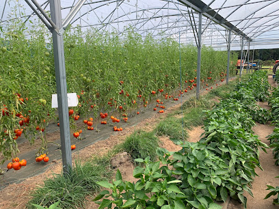 Earl Les Trois Poivrons, Primeur - Fruits Et Légumes à Carnac