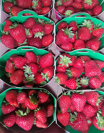 Au Panier Gourmand Primeur - Fruits Et Légumes à Beauvais