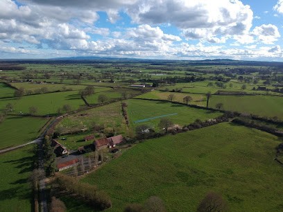 Les Mangetouts - Légumes Et Fruits Rouges Bio, Primeur Fruits et Légumes à Saligny-sur-Roudon