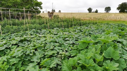 Les Jardins De Ma Petite, Primeur Fruits et Légumes à Lavalette