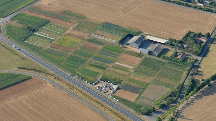 Le Jardin Des Saveurs, Primeur Fruits et Légumes à Neuville-de-Poitou
