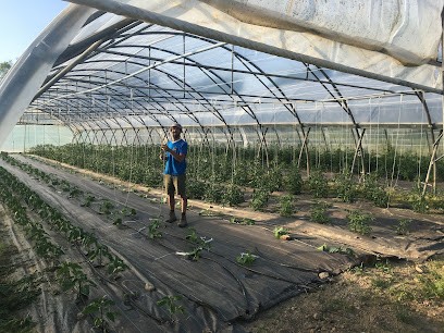 Les Jardins De La Vignerie (légumes), Primeur Fruits et Légumes à Talmont-Saint-Hilaire