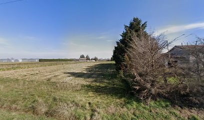 RONCATO producteur légumes, Primeur Fruits et Légumes à Aussonne