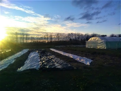 EARL Les jardins ariégeois, Primeur Fruits et Légumes à Saverdun