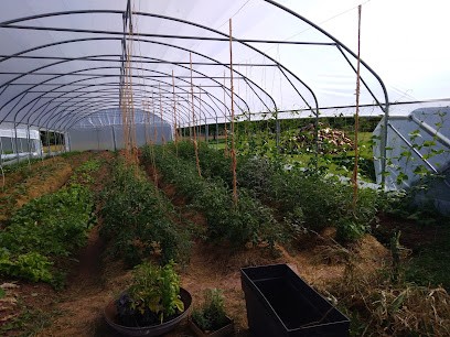 Le Potager du P'tit Toine, Primeur Fruits et Légumes à Évette-Salbert