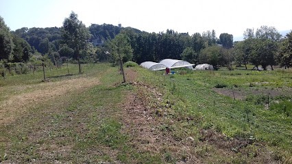 Lemarchand Ludovic, Primeur Fruits et Légumes à Villerville