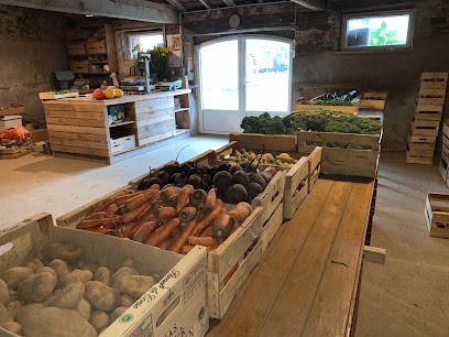 GAEC Le Jardin Des Saveurs - Légumes Biologiques, Primeur Fruits et Légumes à Saint-Mesmin
