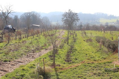 Mathieu Morel, fruits et légumes biologiques, Primeur Fruits et Légumes à Fontenois-la-Ville
