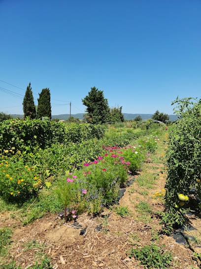 Le Jardin Des Lucioles - Vente à La Ferme, Primeur Fruits et Légumes à Oppède