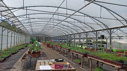 Jardins de Cocagne, Primeur Fruits et Légumes à Bayecourt