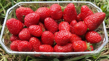 Cueillette à L'étang Du Gros Caillou, Primeur Fruits et Légumes à Pornic