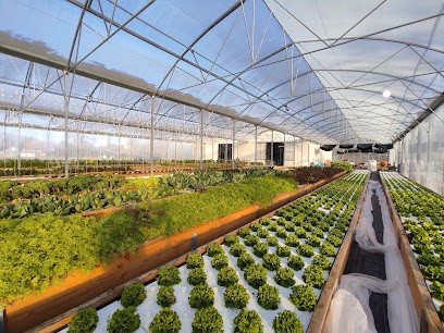 Ferme Aquaponique Du Pays De Gex, Primeur Fruits et Légumes à Versonnex