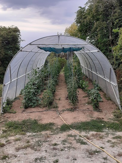 gayrard maraichage, Primeur Fruits et Légumes à Saint-Marcel-Campes
