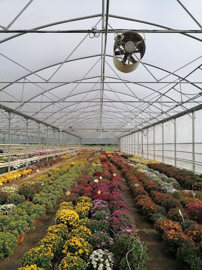 De l'accueil, Primeur Fruits et Légumes au Loroux-Bottereau