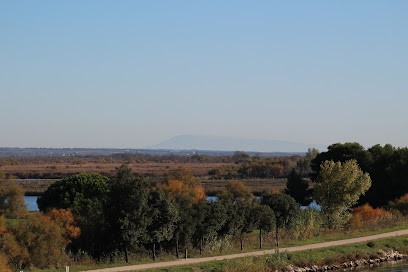 Les Jardins De Camargue, Primeur Fruits et Légumes à Saint-Laurent-d'Aigouze