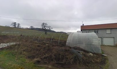 Earl Culture De Gevryeres, Primeur Fruits et Légumes à Villeneuve-de-Marc