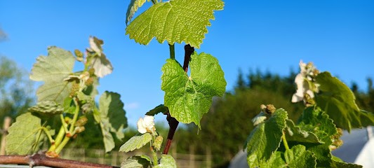 Les jardins de Pabirans producteur paysans passionnés, Primeur Fruits et Légumes à Sainte-Marie-la-Mer