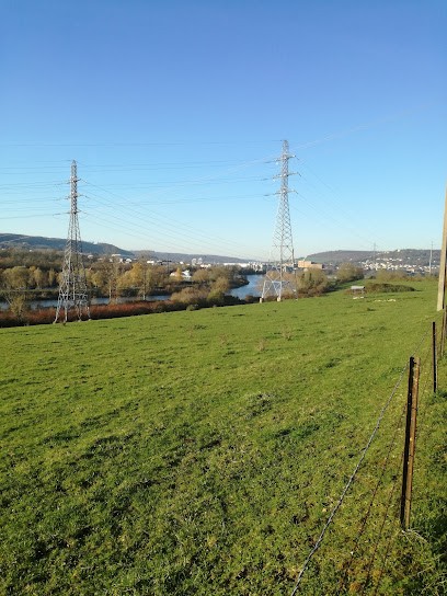 Lortie, Primeur Fruits et Légumes à Malzéville